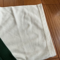 🌻緑のTシャツ　レディースMサイズ🌻の画像