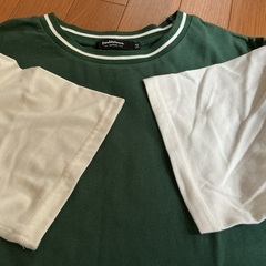 🌻緑のTシャツ　レディースMサイズ🌻の画像
