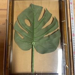 葉っぱ　usedの画像