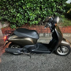 HONDA トゥデイ　50cc 引き取り限定の画像