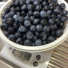 🌿🫐100g 200円🫐🌿　無農薬ブルーベリー　小粒大粒MIX　の画像
