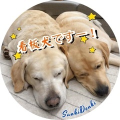 一般事務員⭐️募集中⭐️未経験OKの画像