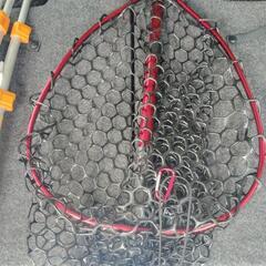 🐟️海釣り🐟️の画像