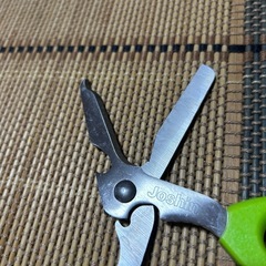 ハサミ①の画像
