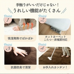 カーペットの画像