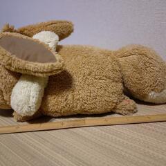 【8/31まで】イーブイぬいぐるみの画像