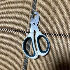 分別ハサミの画像