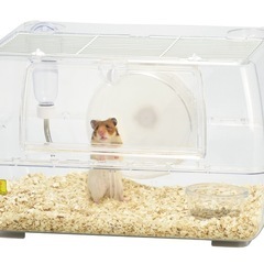 小動物 用品 ケージ ルーミィ グランスペース クリア ケージ  ジャンガリアン ドワーフ ゴールデン キンクマ 小屋 ペット サイレント ホイール 用品 回し車  ゲージ ハムスター ヤマネ ラット マウス フクモモの画像