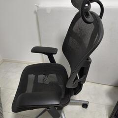 【ジャンク】エルゴヒューマン エンジョイ 5,000円（西尾駅引取限定）の画像