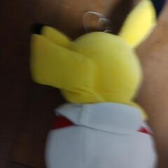 ピカチュウぬいぐるみの画像