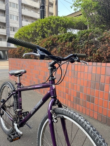 オールドMTB リッヂランナー