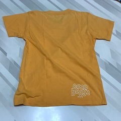 ガールズ＆レディースTシャツ３点セットの画像