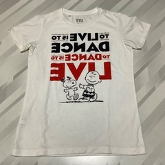 ガールズ＆レディースTシャツ３点セットの画像