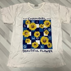 ガールズ＆レディースTシャツ３点セットの画像
