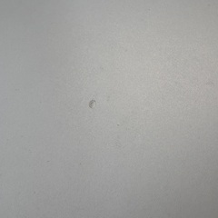 【韓国インテリア】ホワイトオーバルカフェテーブルの画像