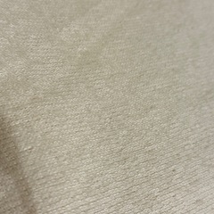 ニトリ　シングル　薄手　タオルケット①　　の画像