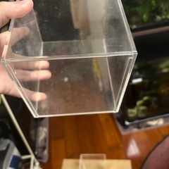 ベタ用水槽　プラスチック製　中古　縦12.6✖︎横12.6✖︎16.0
の画像