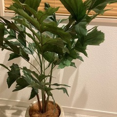 フェイクグリーン  人工観葉植物　インテリア　模様替えの画像
