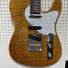 ARIA PRO Ⅱ 615-AE200  ユーズド品の画像