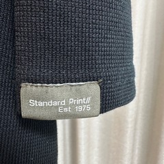 ZARA 半袖Tシャツ Lサイズの画像