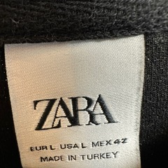 ZARA 半袖Tシャツ Lサイズの画像