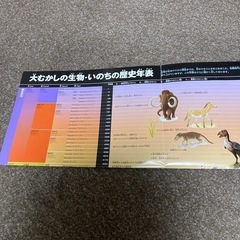 絵本 児童書 大むかしの生物 小学館の図鑑NEOの画像