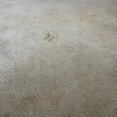 美品　亀柄　伝統民族楽器 JEMBE ジャンベ 西アフリカ 打楽器　50cmの画像