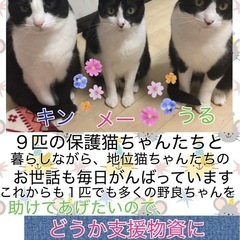 保護猫活動のお手伝い・支援物資(インスタから)してくださる方募集...