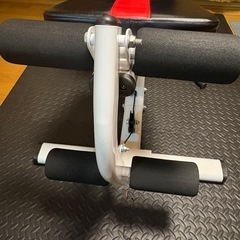 IROTEC(アイロテック)マルチホームジム150V2の画像