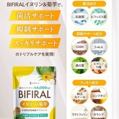 【新品】イヌリン 菊芋 サプリ 水溶性 食物繊維 乳酸菌 ビフィズス菌 ナットウキナーゼの画像