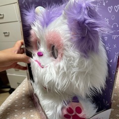 Furling の画像