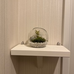 ウォールシェルフの画像
