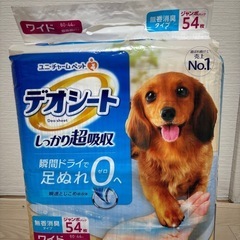 ペット トイレシート ワイド 2パックの画像