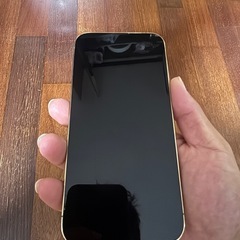 iPhone13Pro MAXの画像