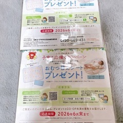 【新品　未開封】ファスナーポーチ コープ共済　2個セットの画像