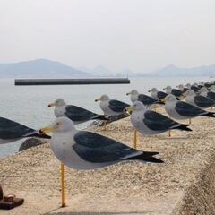 9/28女木島登山