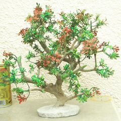 枯れ木のオブジェー３の画像