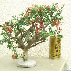 枯れ木のオブジェー３の画像
