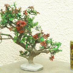 枯れ木のオブジェー３の画像