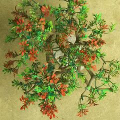 枯れ木のオブジェー３の画像