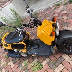 ホンダズーマーの画像