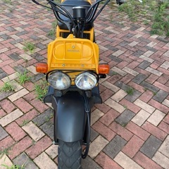 ホンダズーマーの画像
