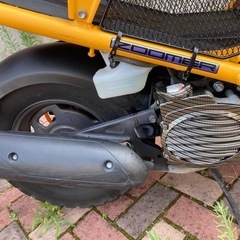 ホンダズーマーの画像