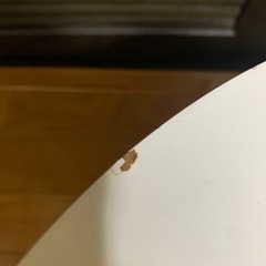 楕円形 センターテーブル ホワイトの画像