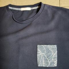 4LTシャツ２つの画像