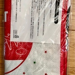 ASIMOデザイン レジャーシートの画像