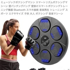 パンチング　ボクシングマシン　トレーニングパッドの画像