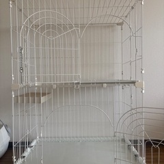 猫　ゲージの画像