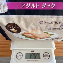 ニュートロ キャットフード
 穀物フリー の画像