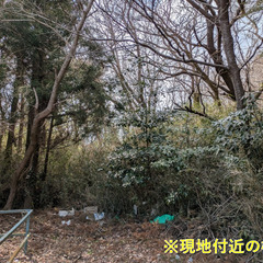 No.622【茨城県鹿嶋市大小志崎】山林1筆あげます！